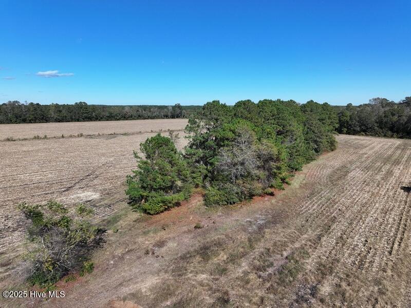 Tbd Hwy 53 Property Photo 6