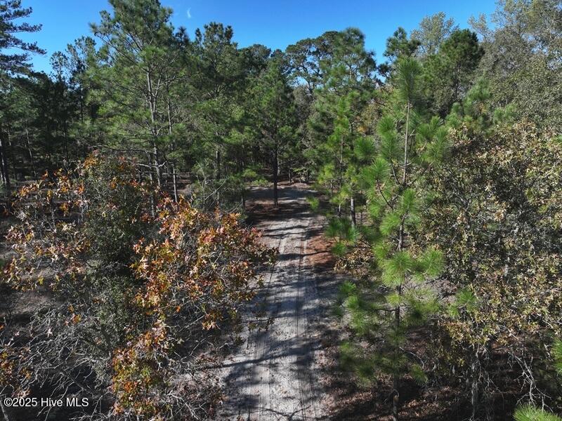 Tbd Hwy 53 Property Photo 10