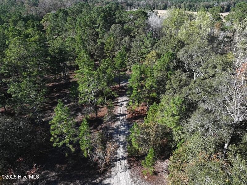 Tbd Hwy 53 Property Photo 11