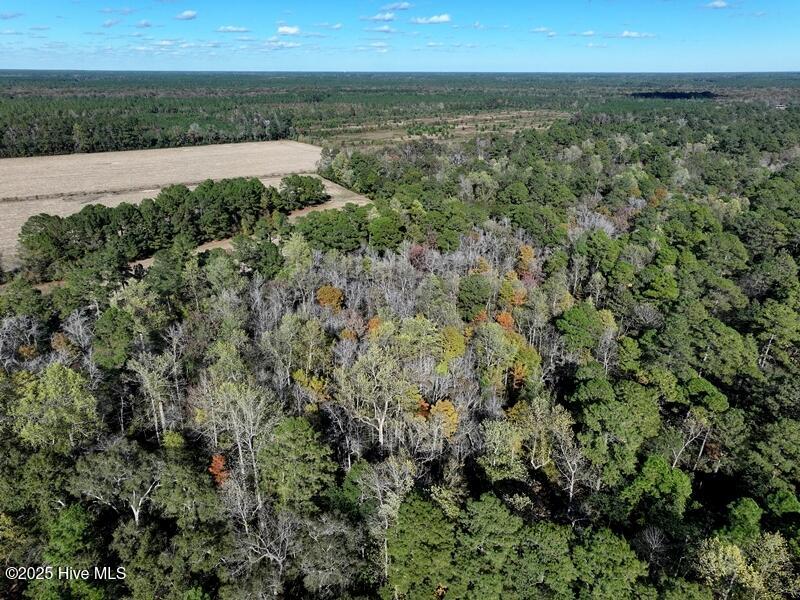 Tbd Hwy 53 Property Photo 12