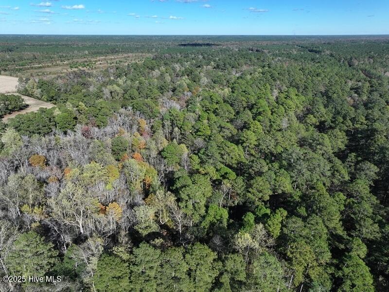 Tbd Hwy 53 Property Photo 13