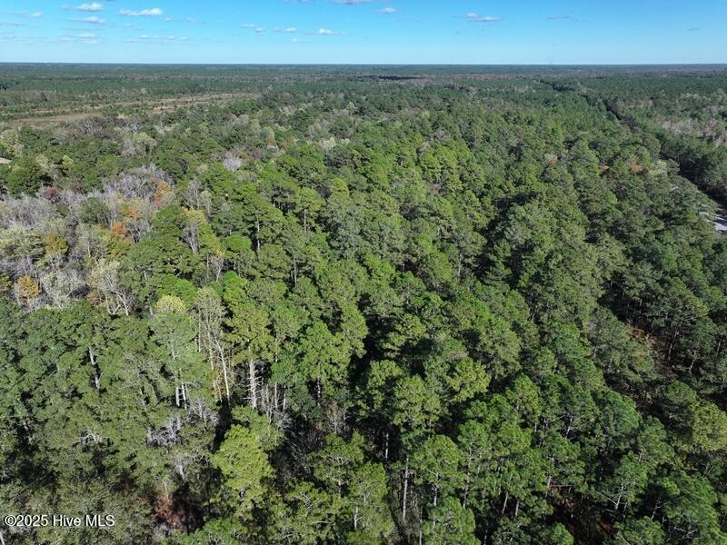 Tbd Hwy 53 Property Photo 14