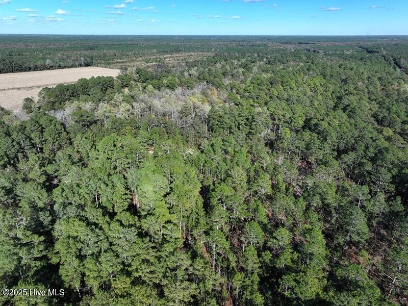 Tbd Hwy 53 Property Photo 16