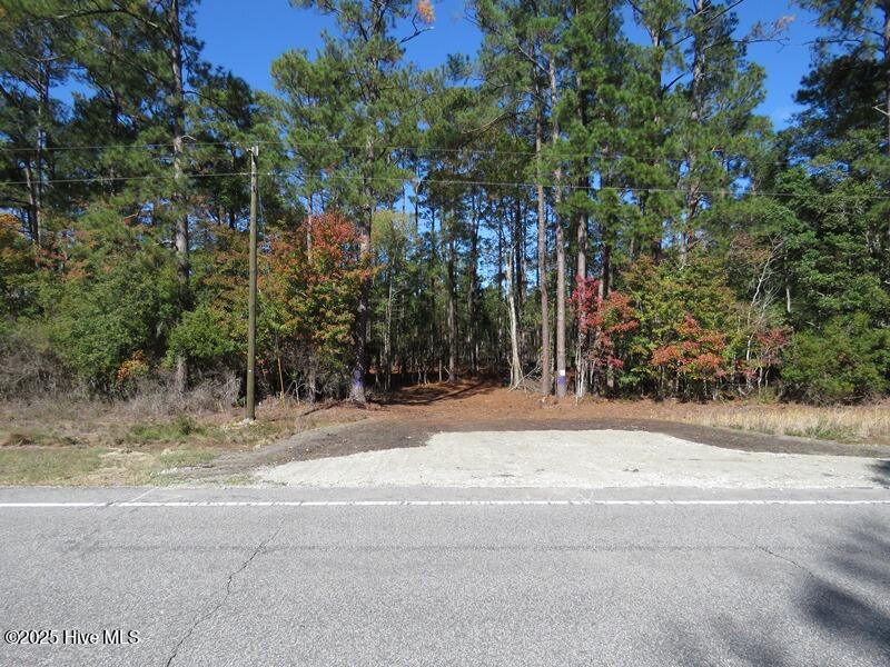 Tbd Hwy 53 Property Photo 17