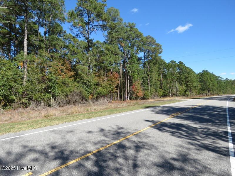 Tbd Hwy 53 Property Photo 18