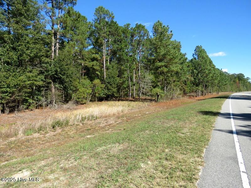 Tbd Hwy 53 Property Photo 21