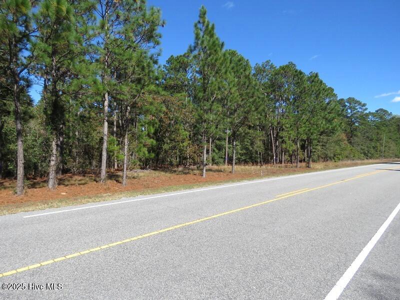 Tbd Hwy 53 Property Photo 22