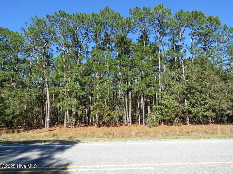 Tbd Hwy 53 Property Photo 23