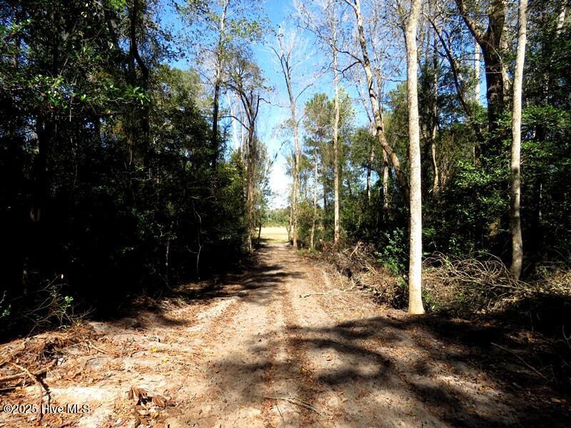 Tbd Hwy 53 Property Photo 24