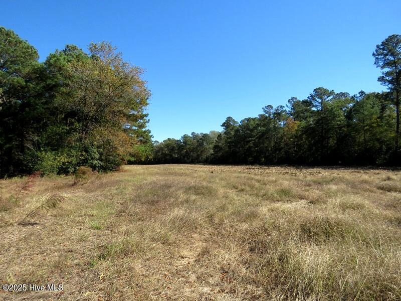 Tbd Hwy 53 Property Photo 26