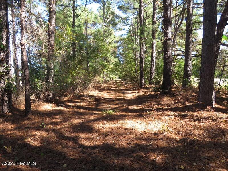 Tbd Hwy 53 Property Photo 27