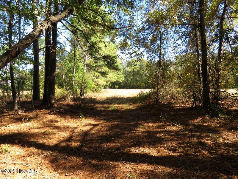 Tbd Hwy 53 Property Photo 28