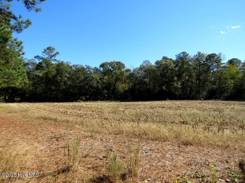 Tbd Hwy 53 Property Photo 29