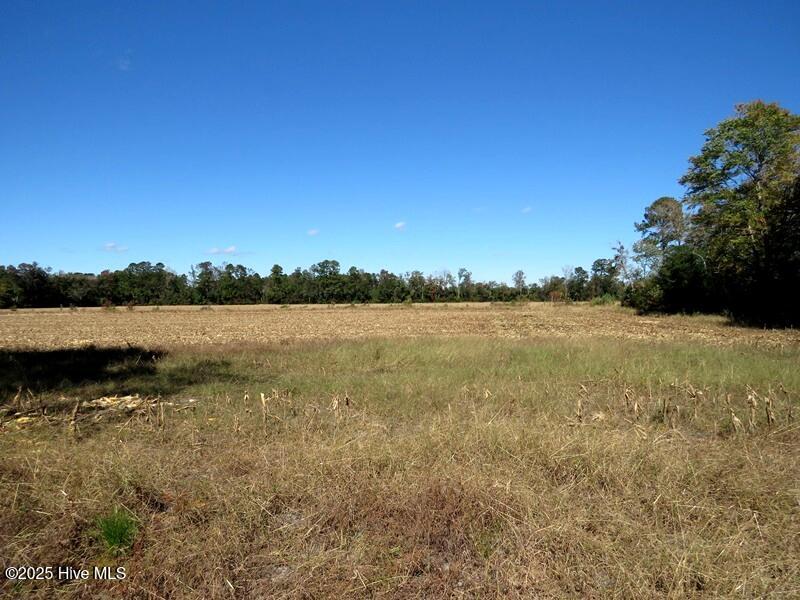 Tbd Hwy 53 Property Photo 30