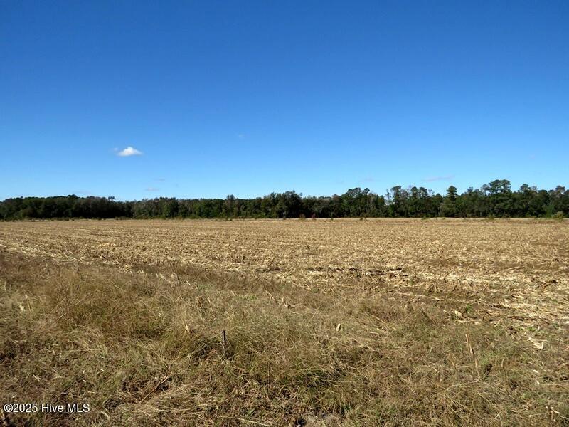 Tbd Hwy 53 Property Photo 32