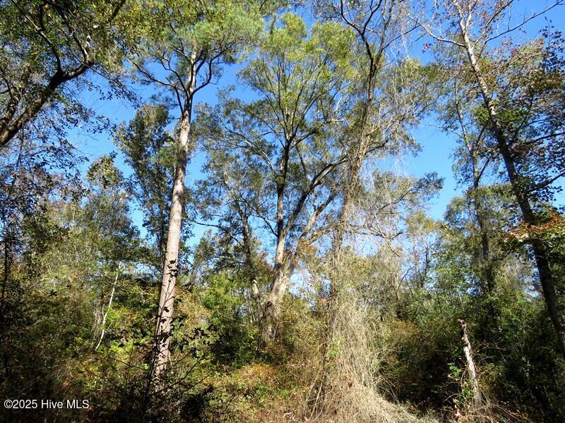 Tbd Hwy 53 Property Photo 35