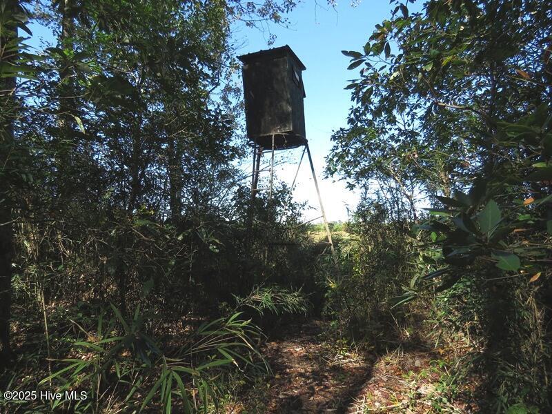 Tbd Hwy 53 Property Photo 36