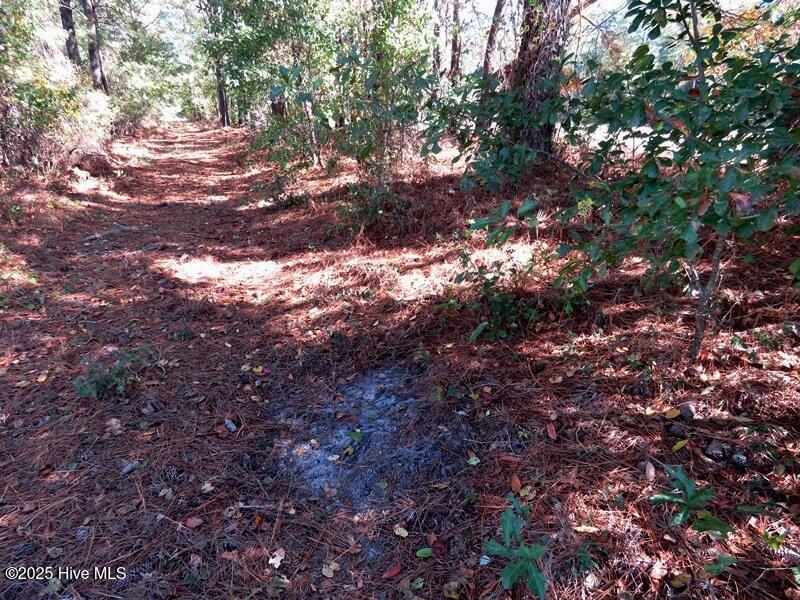 Tbd Hwy 53 Property Photo 37