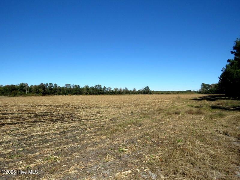 Tbd Hwy 53 Property Photo 38