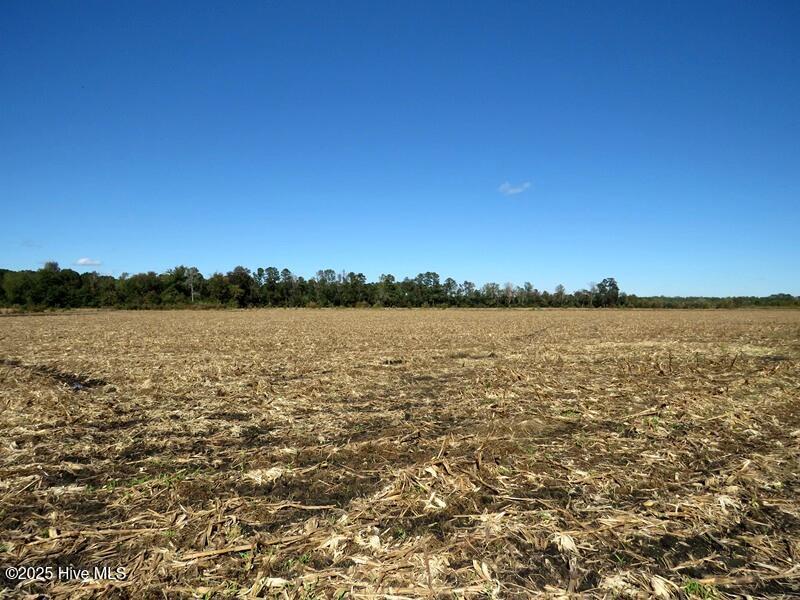 Tbd Hwy 53 Property Photo 39