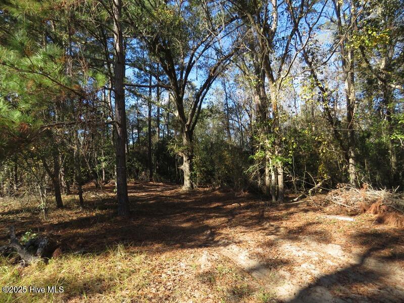 Tbd Hwy 53 Property Photo 40