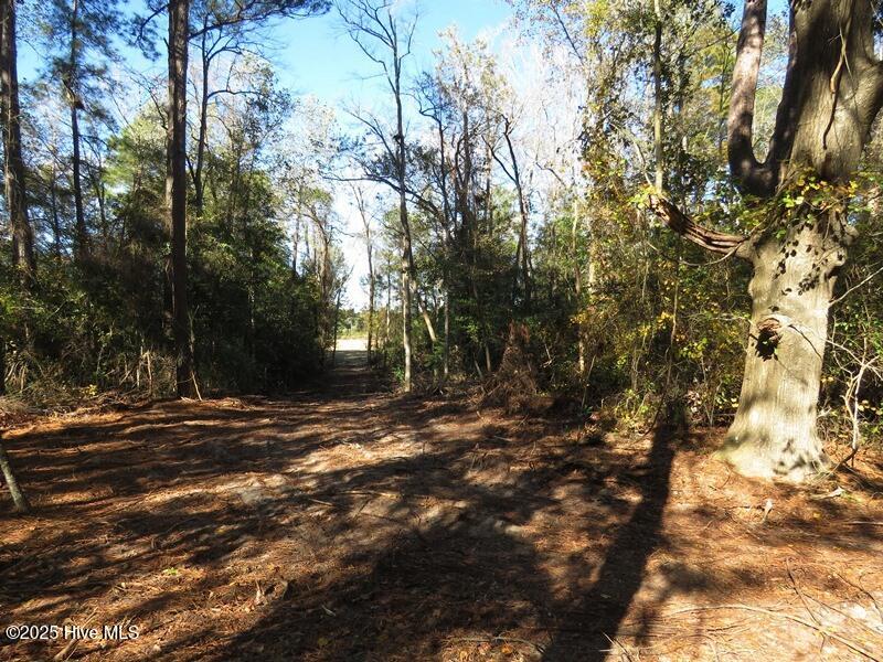 Tbd Hwy 53 Property Photo 41