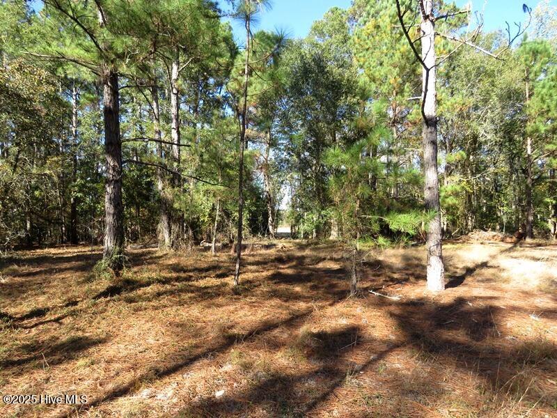 Tbd Hwy 53 Property Photo 42