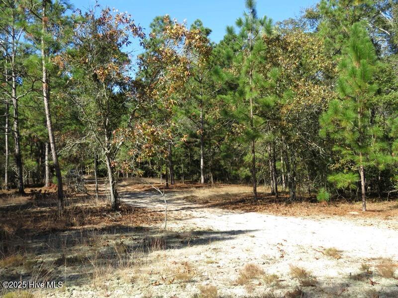 Tbd Hwy 53 Property Photo 44