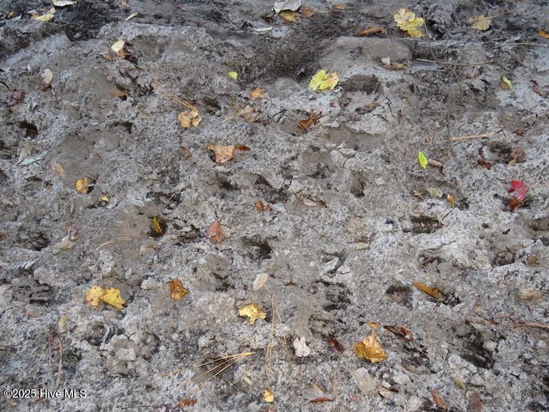 Tbd Hwy 53 Property Photo 45