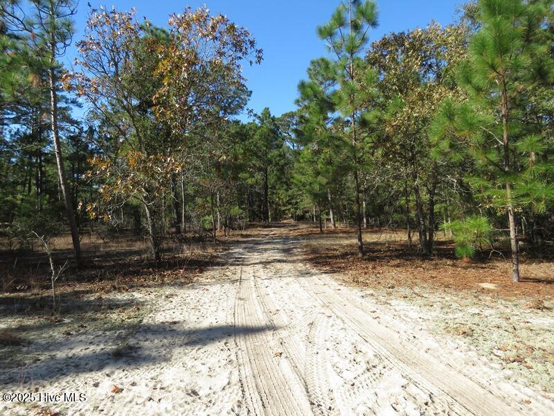 Tbd Hwy 53 Property Photo 46