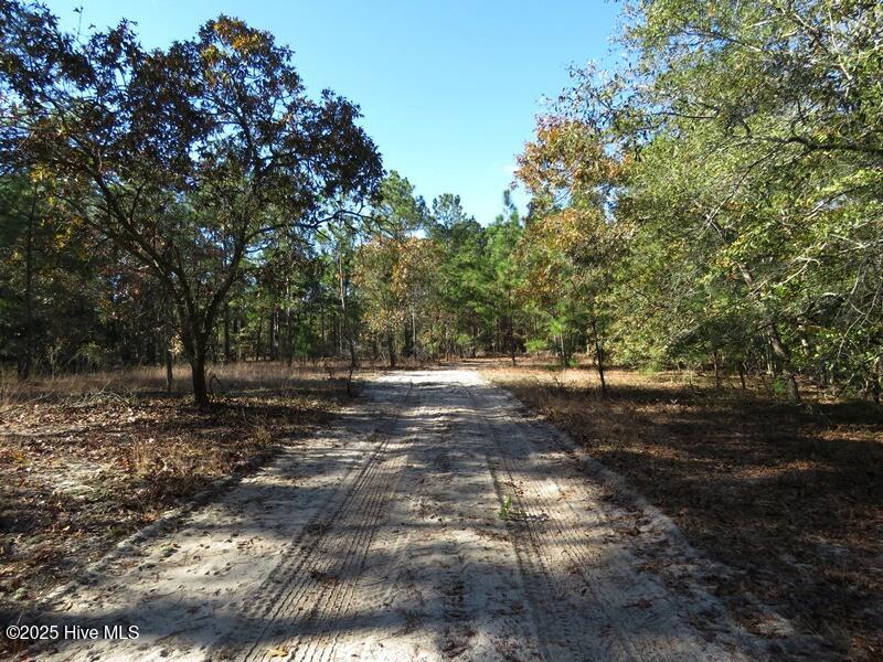 Tbd Hwy 53 Property Photo 47