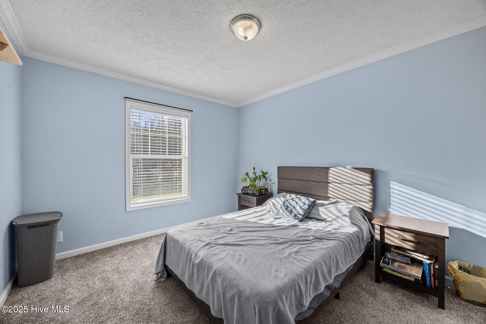 3729 Bryan Hardy Road Property Photo 29