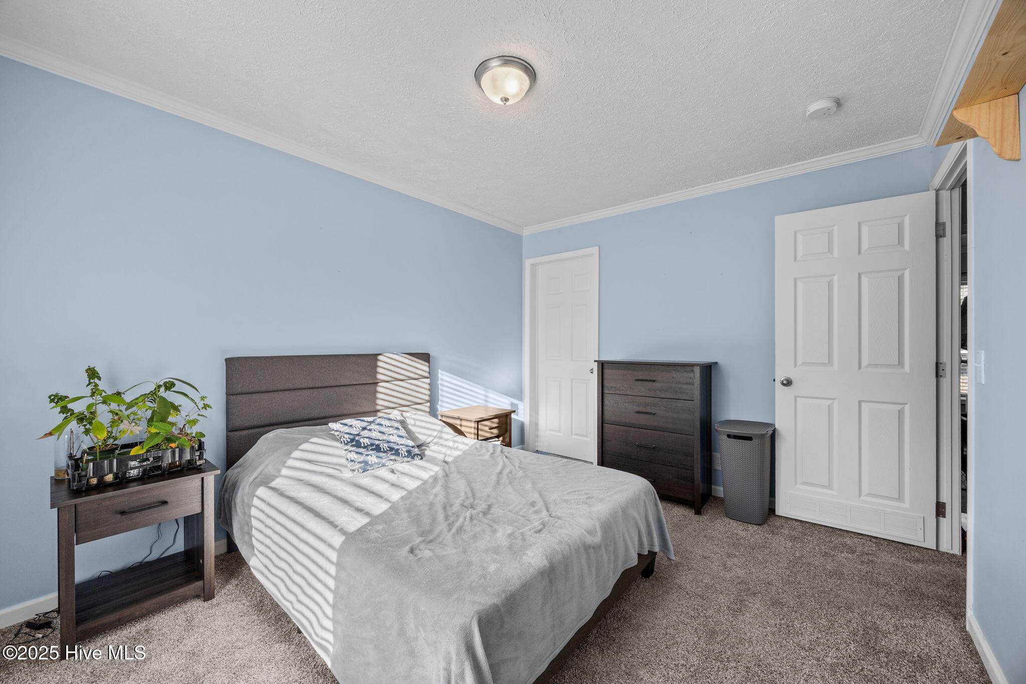 3729 Bryan Hardy Road Property Photo 31