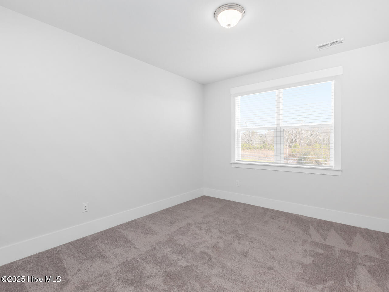 9245 Crowded Gules Drive Lot 194 Property Photo 10