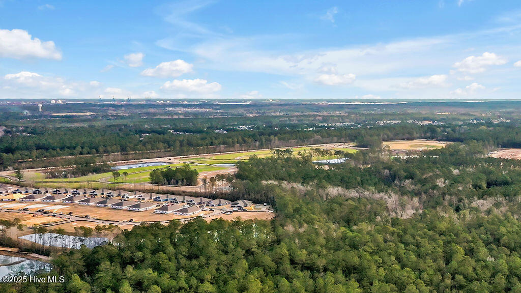 9245 Crowded Gules Drive Lot 194 Property Photo 23