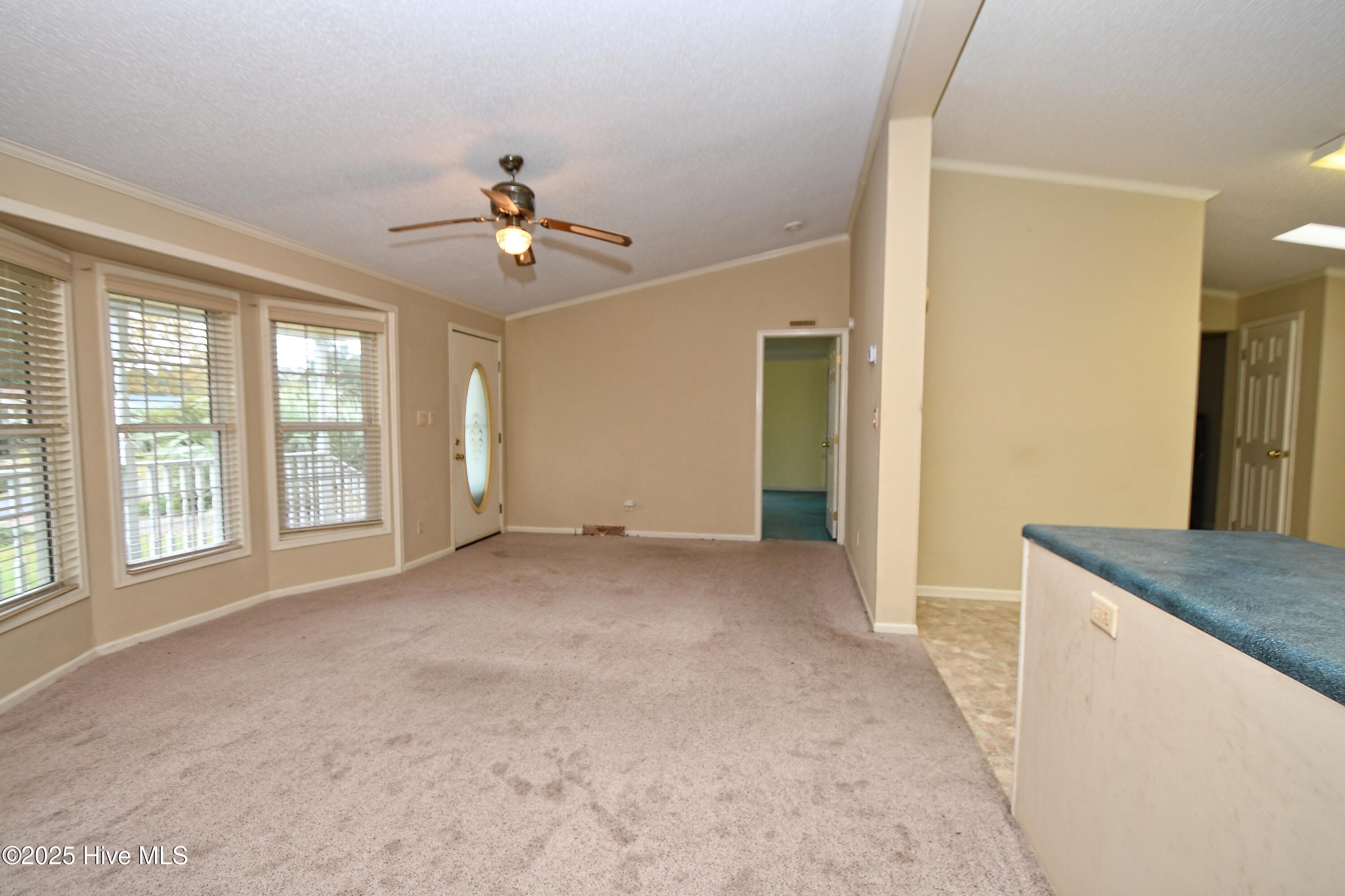 1024 Palm Court Property Photo 7