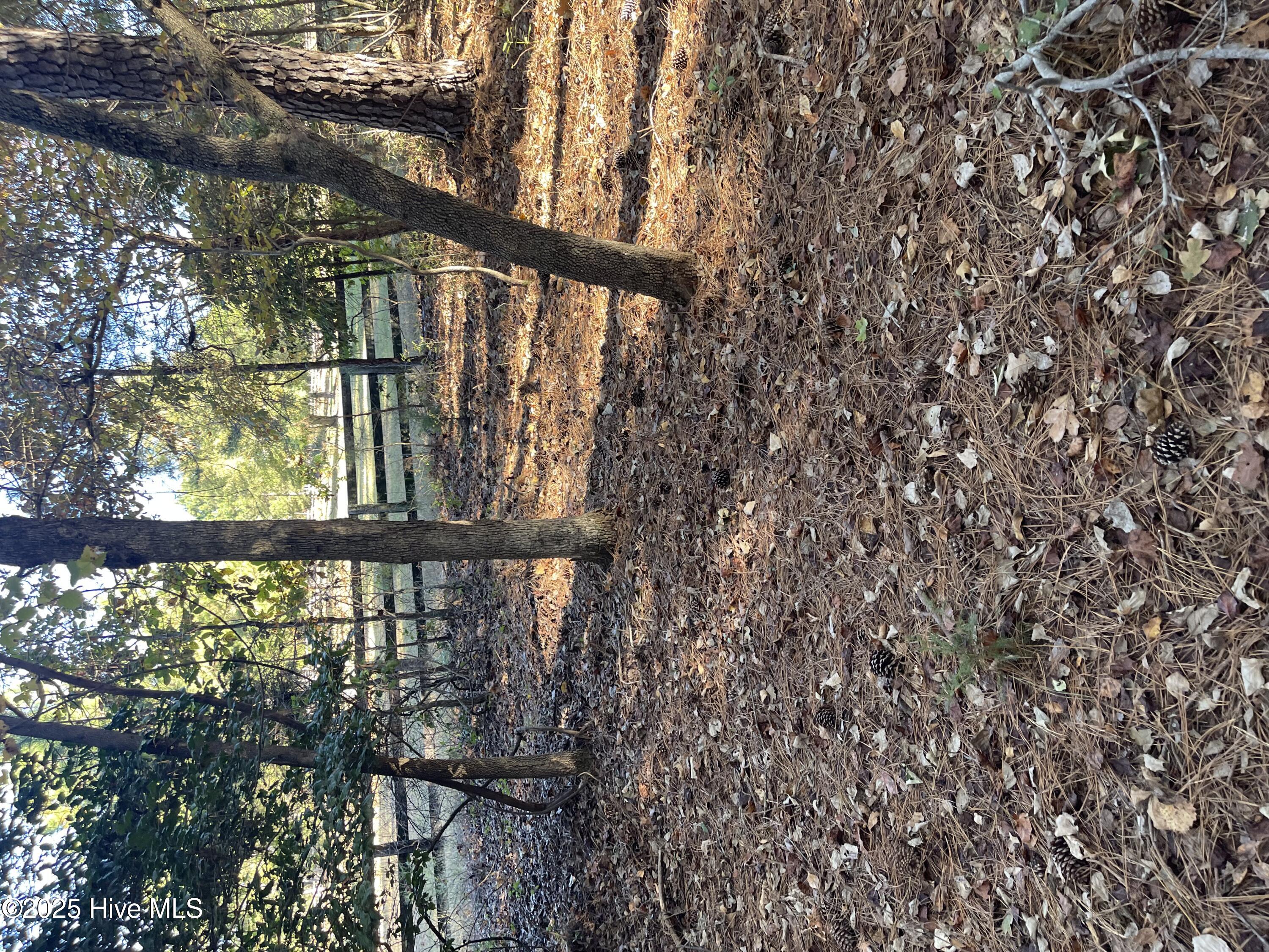 Tbd Richmond Road Property Photo 1