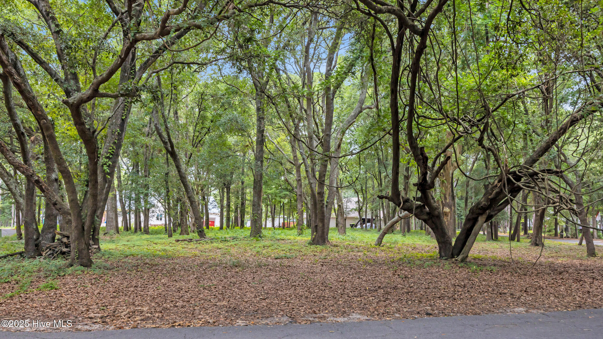 1900 Egret Street Property Photo 1
