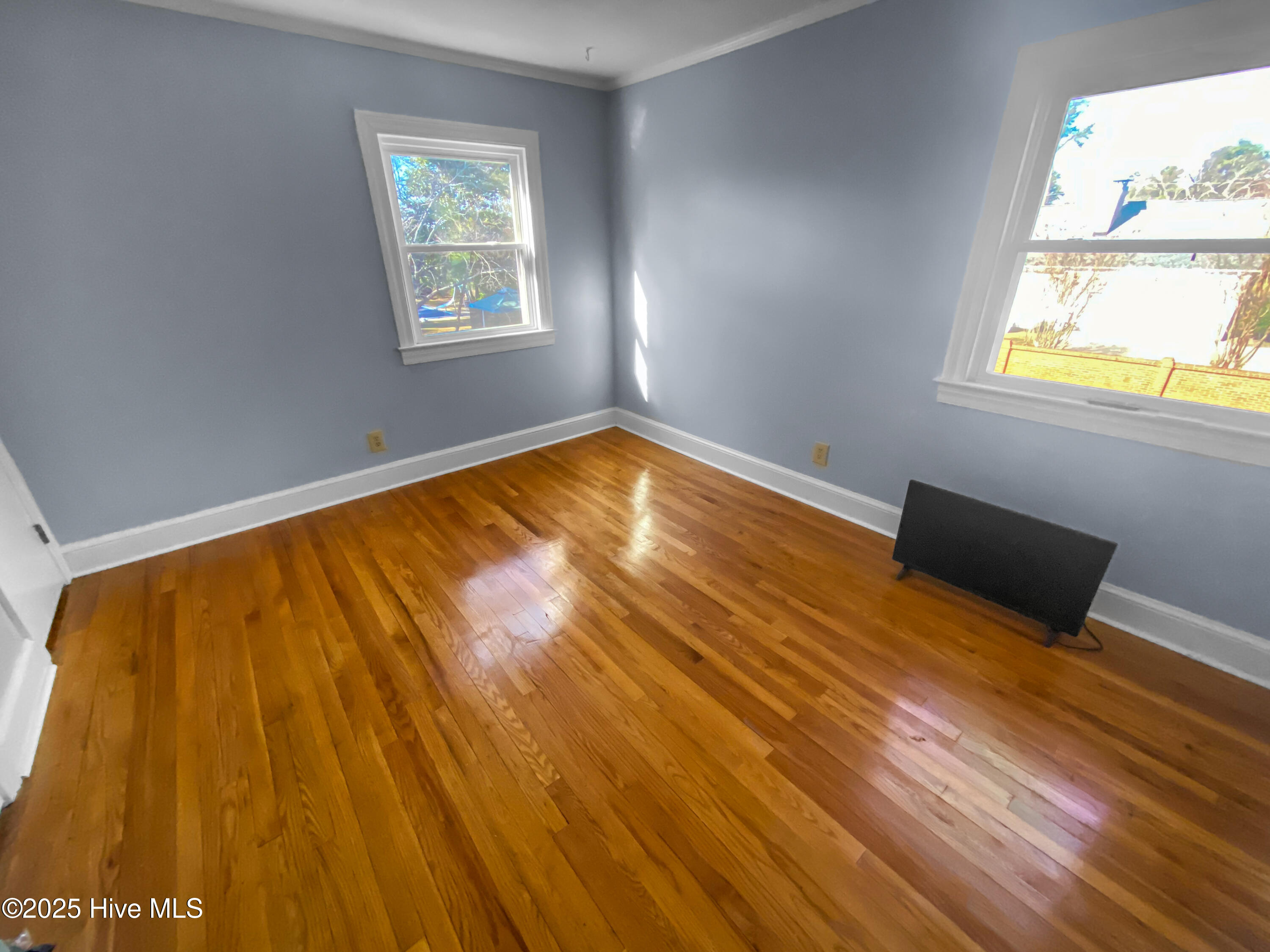 1907 Essex Street Property Photo 44