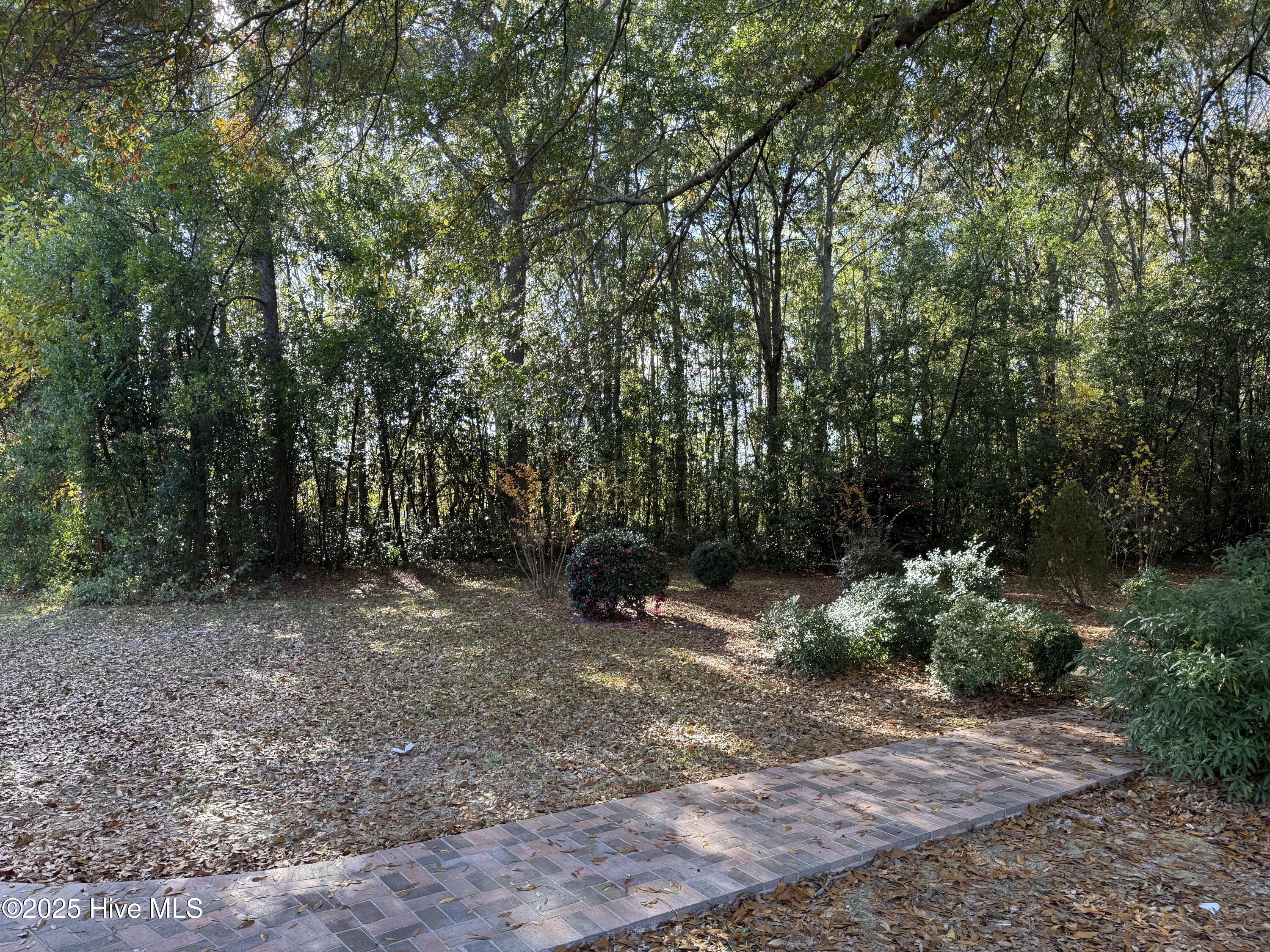 101 Forest Drive Property Photo 38