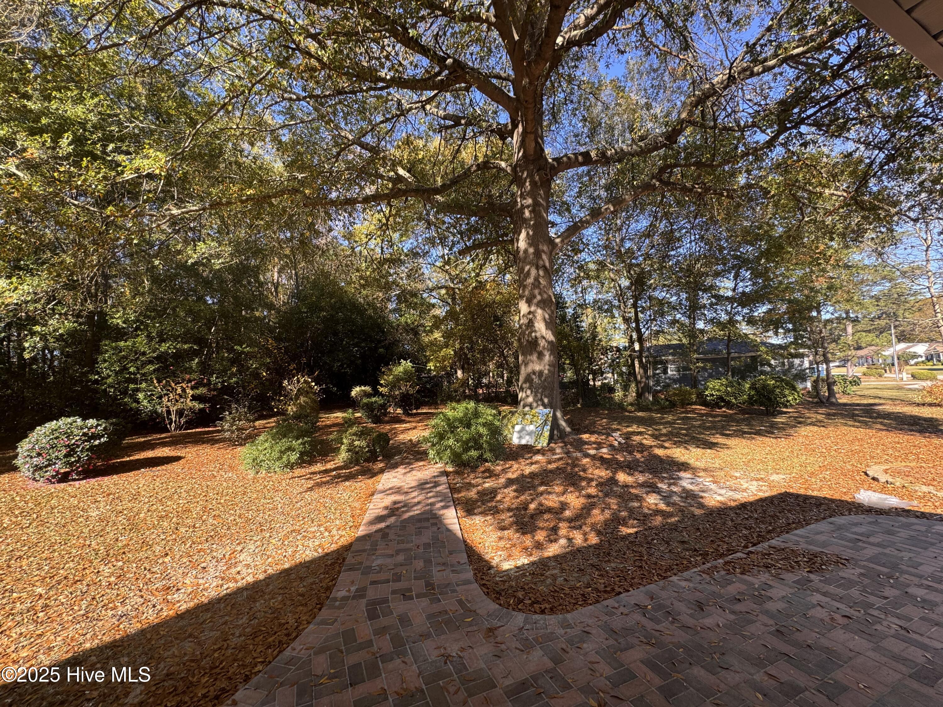 101 Forest Drive Property Photo 39