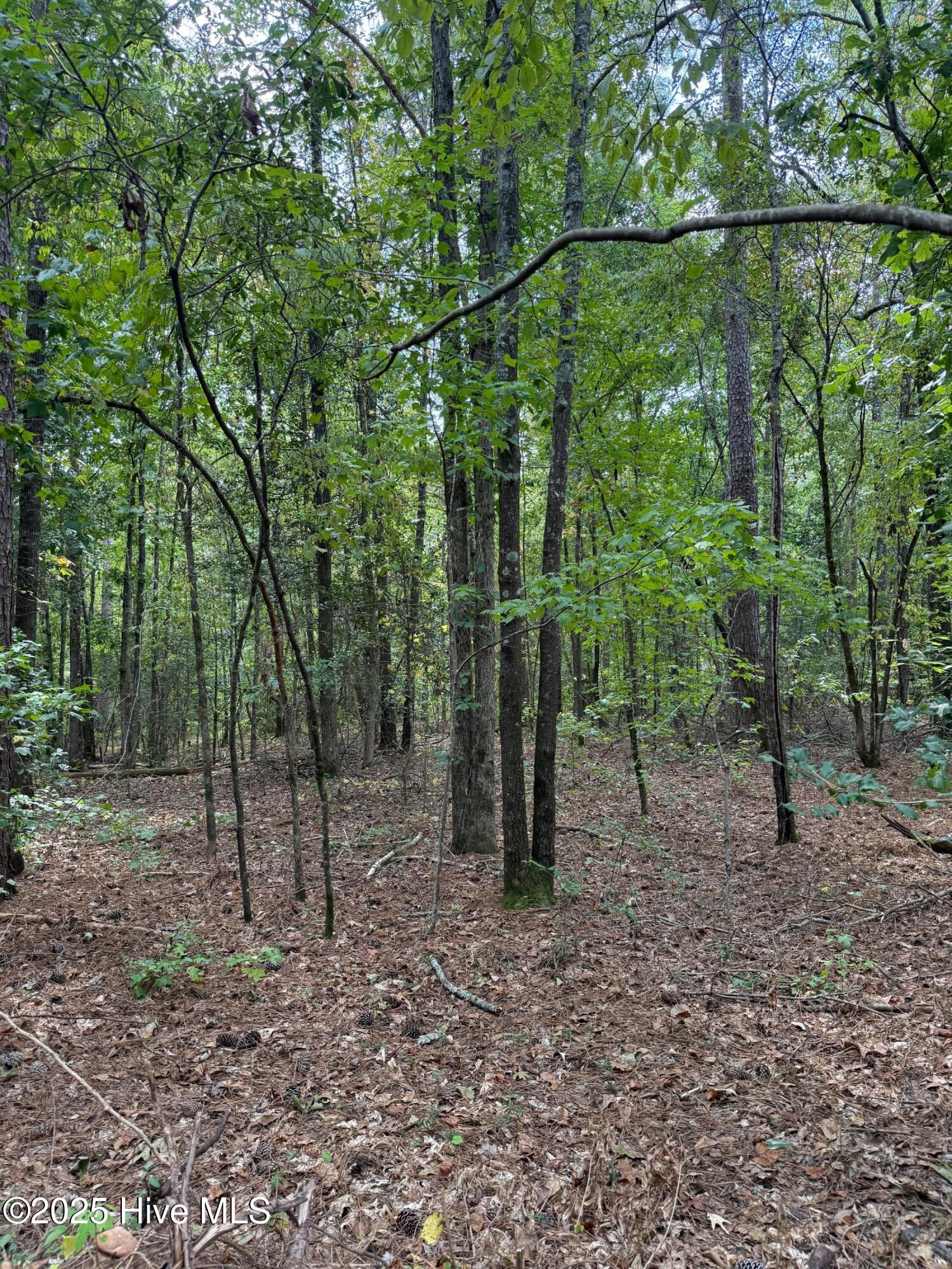 122 49 N State Lane Property Photo 5