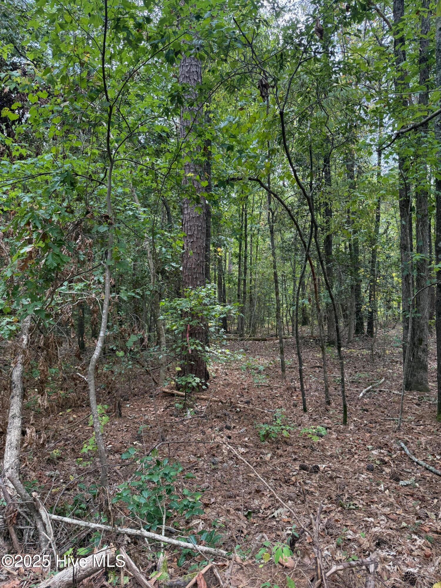 122 49 N State Lane Property Photo 6