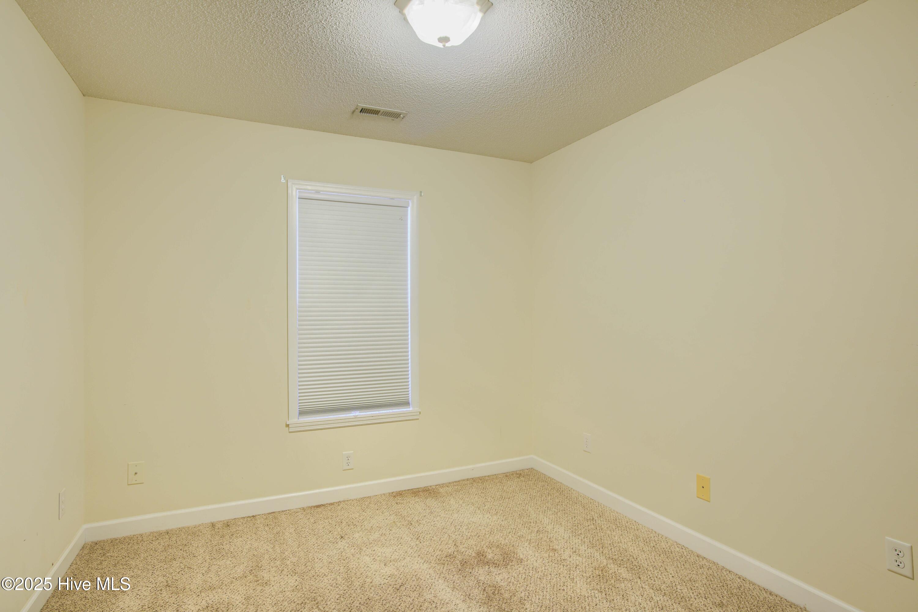 113 Tillett Lane Property Photo 23