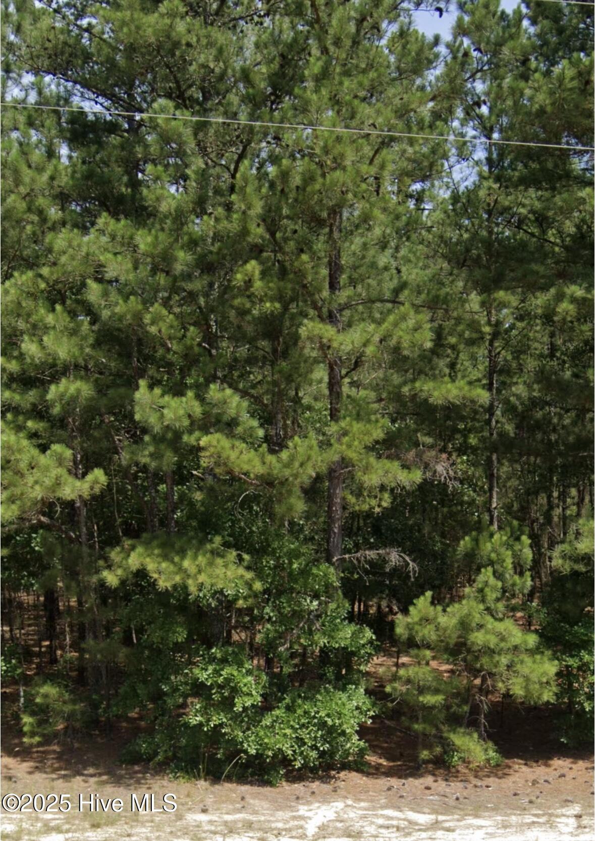 0 Center Baptist Church Road Property Photo 6