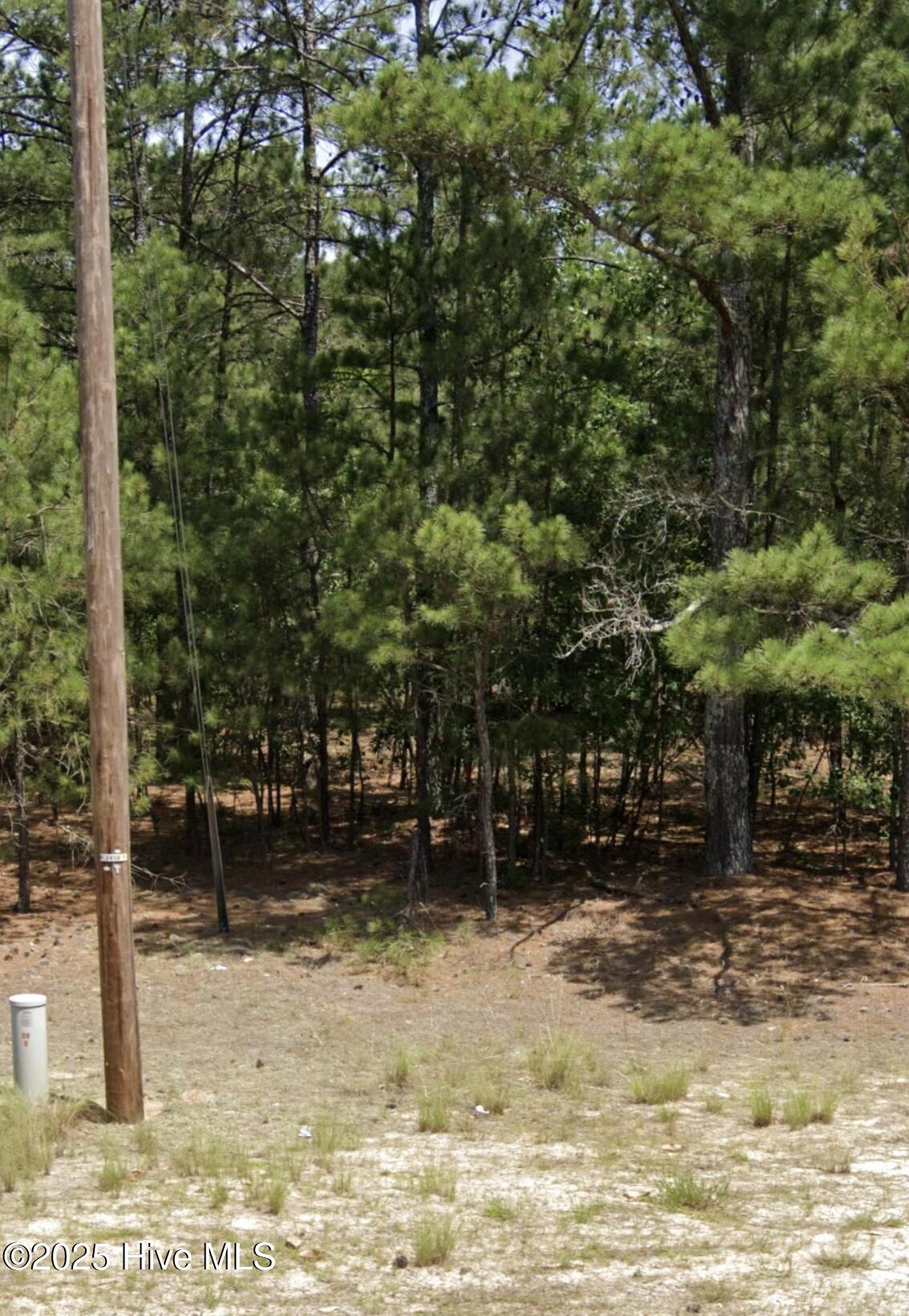 0 Center Baptist Church Road Property Photo 7