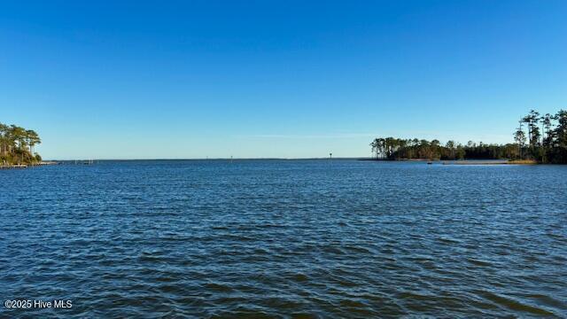 385 Peninsula Drive Property Photo 28