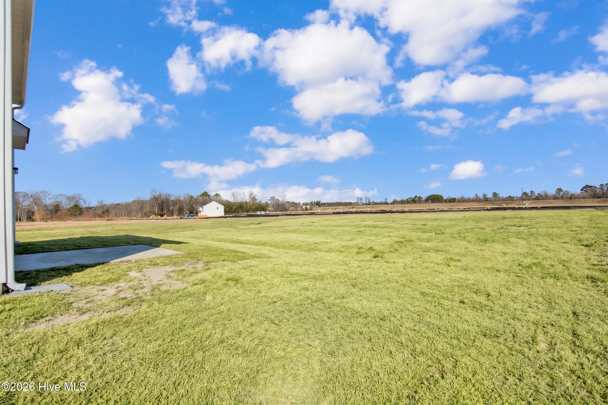 208 Buggy Top Lane Property Photo 3