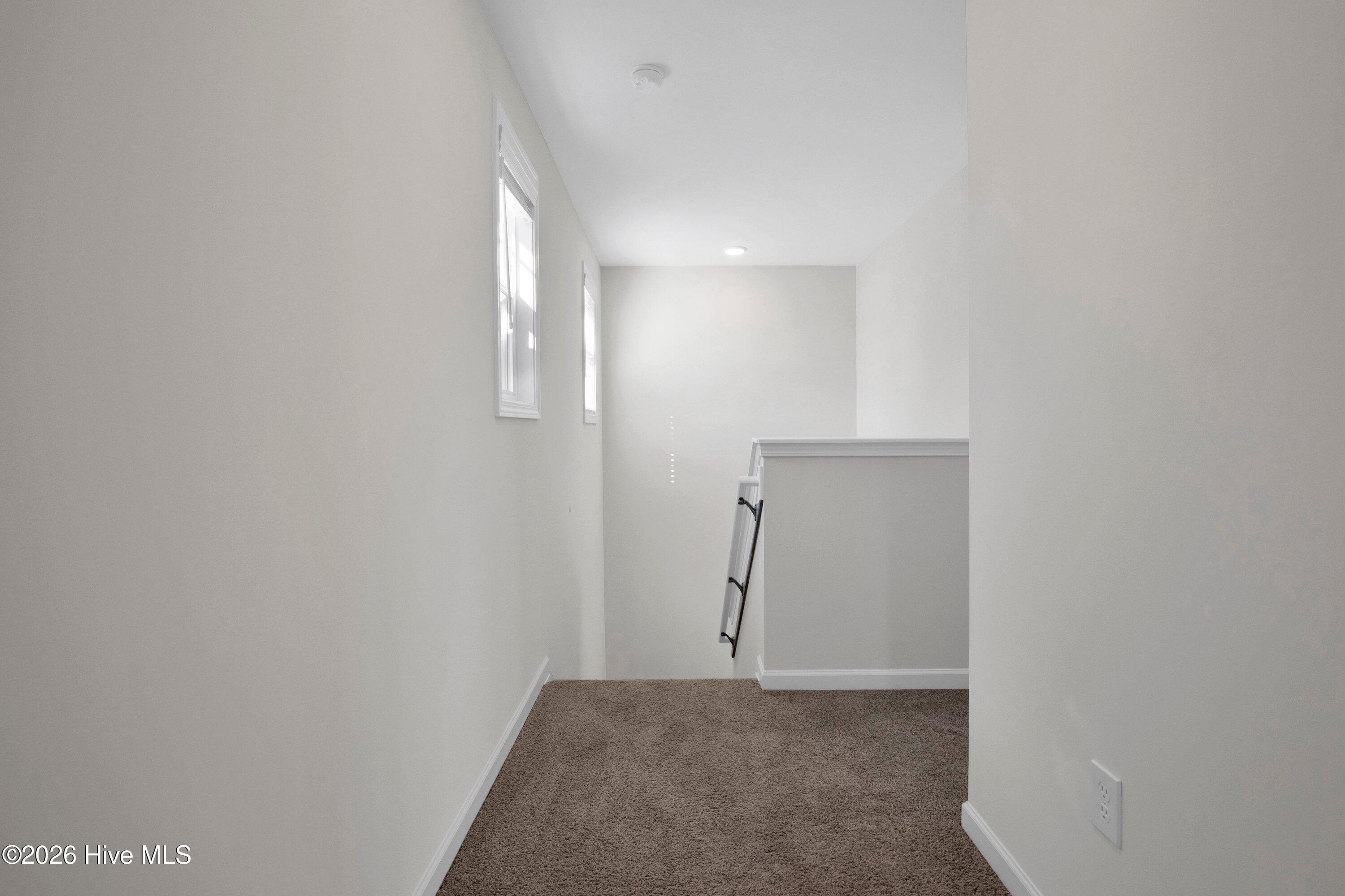 208 Buggy Top Lane Property Photo 19