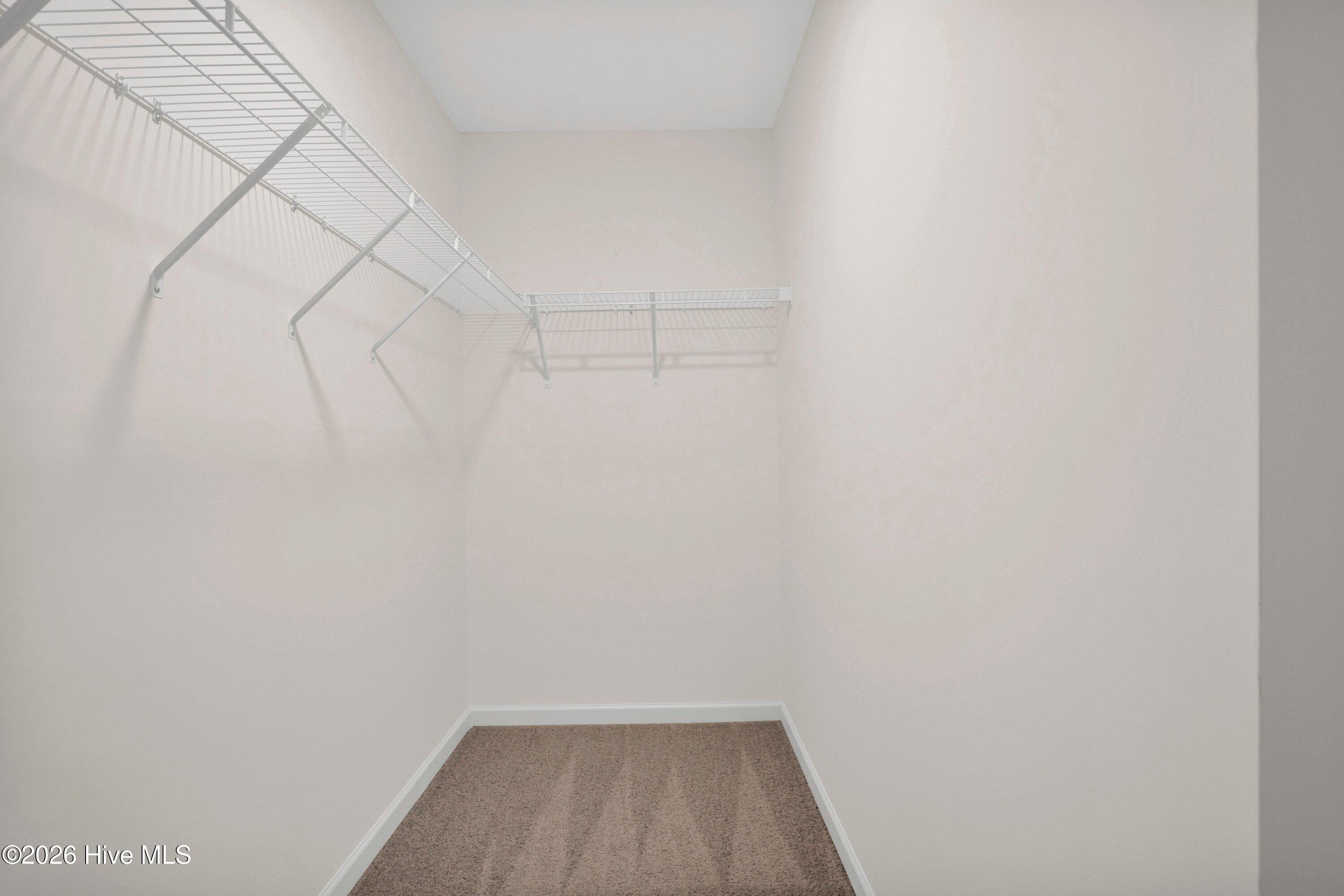 208 Buggy Top Lane Property Photo 23